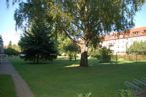 großer Gemeinschaftgarten mit Spiel- und Wäscheplatz