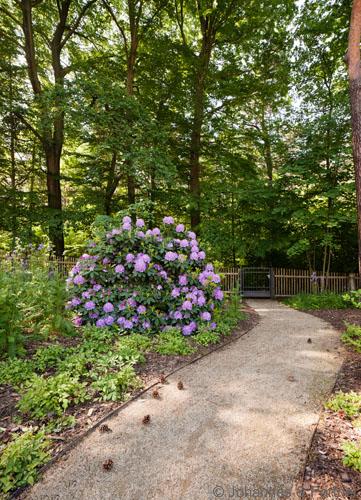 Grundstück hat direkten Zugang zum Waldpark