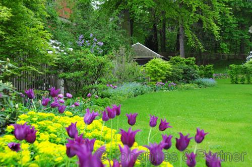 sehr schönes parkähnliches Gartengrundstück