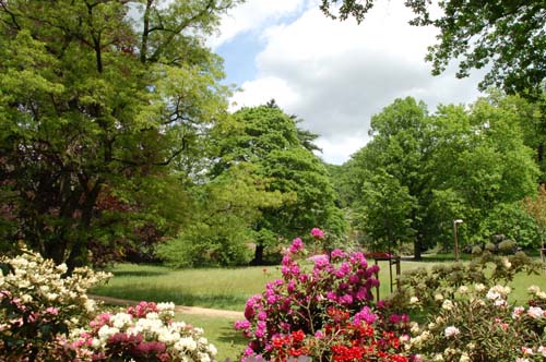 direkt am Rhododendronpark gelegen
