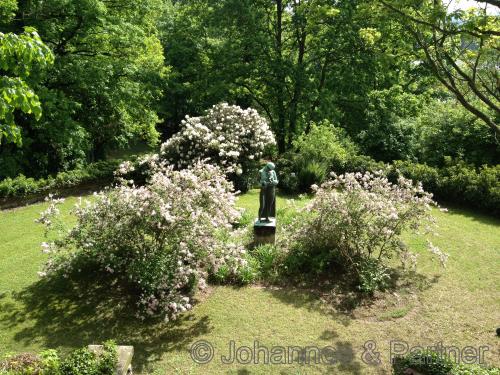 Blick aus dem Wintergarten 
