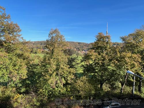 herrlicher Blick aus jeder Wohnung