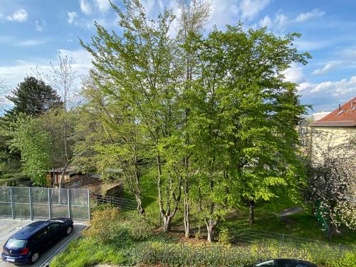 Ausblick vom Balkon