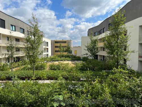Blick in den Garten