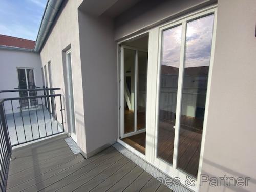 01277 Dresden - Striesen , Glashütter Straße 92 WE 87 - Photo 2