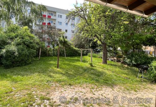 Blick in den gemeinschaftlich nutzbaren Garten