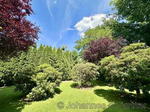 sehr gepflegter Garten vor dem Haus