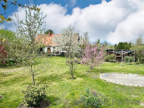sehr schöner, großer und sonniger Garten