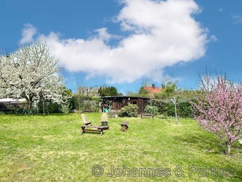 sehr schöner und sonniger Garten