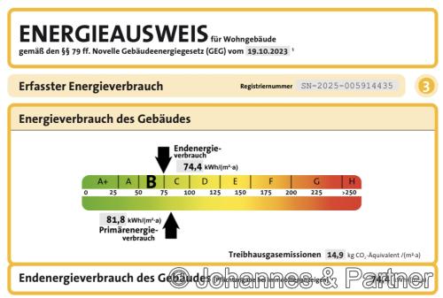 Auszug aus dem Energieausweis