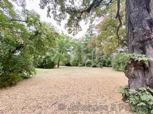 herrliche Lage in unmittelbarer Nähe des Fichte-Parks