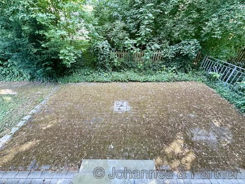 große Terrasse an der Wohnung (sorry für das Laub)