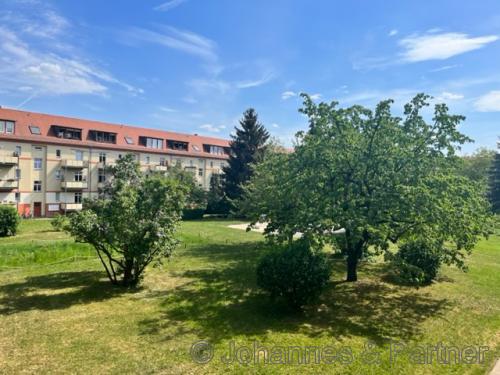 gepflegte Gartenanlage