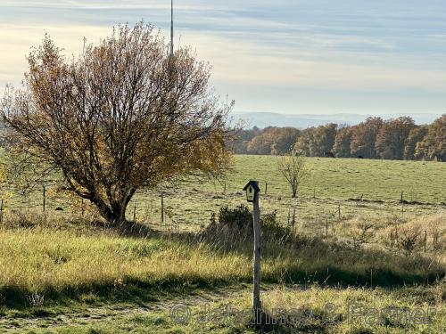 ruhige und grüne Lage am Rand des Naturschutzgebiets