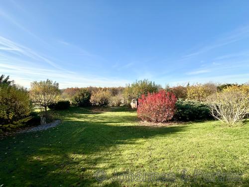 großer und sehr schöner Garten in Südwestausrichtung