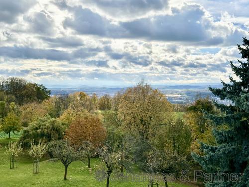 Blick aus dem Obergeschoss Richtung Süden