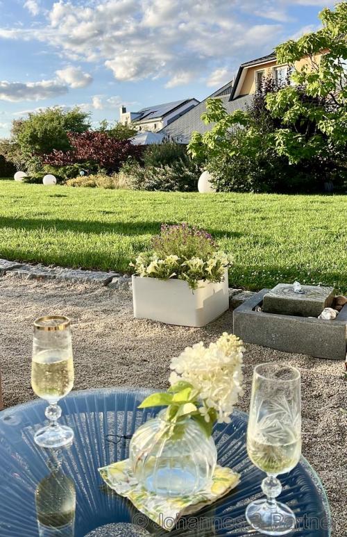 Impressionen aus dem Garten