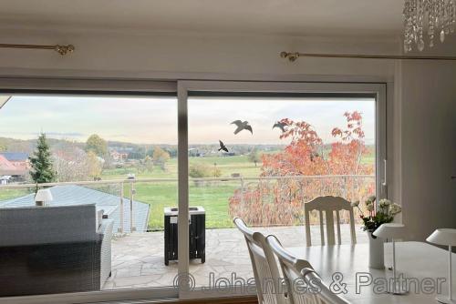 Blick vom Wohnzimmer ins Naturschutzgebiet