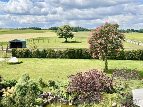 Traumblick aus dem Obergeschoss ins Naturschutzgebiet