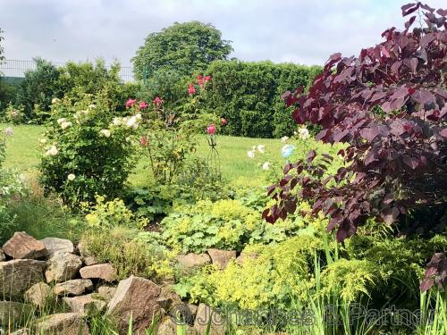 Impressionen aus dem Garten