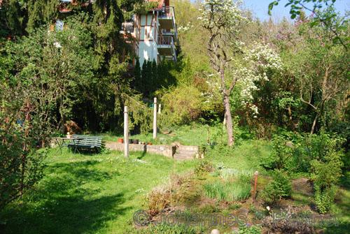 idyllischer Garten