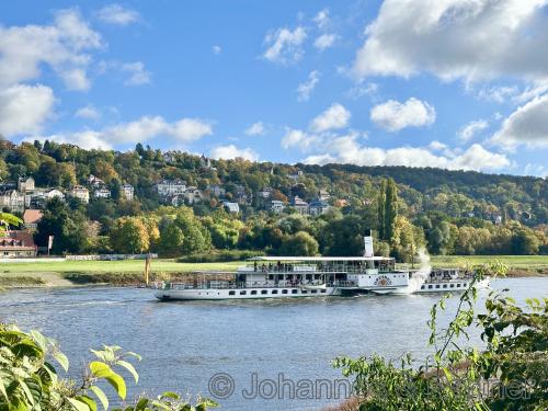 herrlicher Blick vom Grundstück auf die Elbe