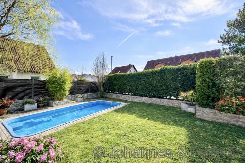 Pool im Garten