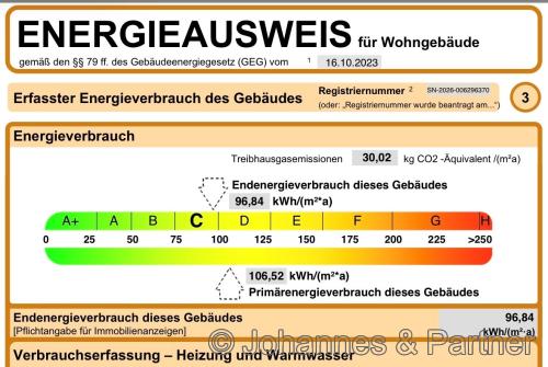 Auszug aus dem Energieausweis