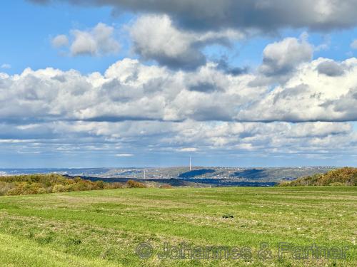 Lage am Rande eines Naturschutzgebiets mit Blick auf Elbhang und Fernsehturm