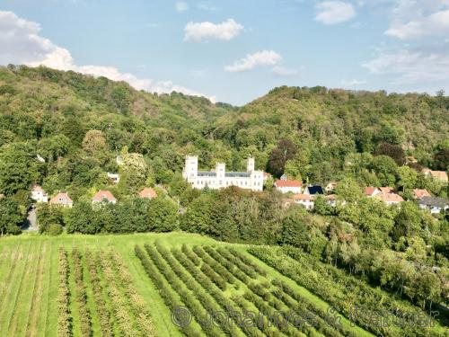 herrliche Lage des sanierten Schlosses am Elbhang