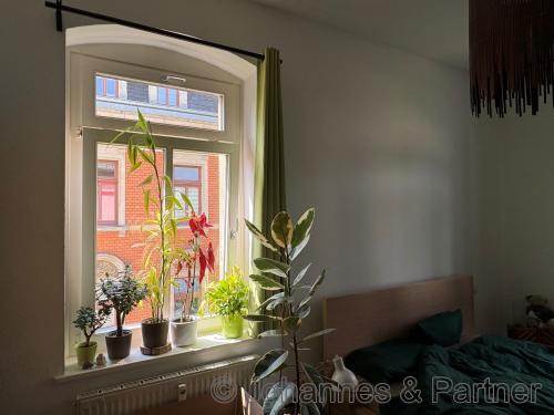 01159 Dresden - Löbtau , Dölzschner Straße 2 WE 5 - Foto 2