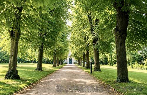 Allee zum Haus auf dem eigenen parkähnlichen Grundstück