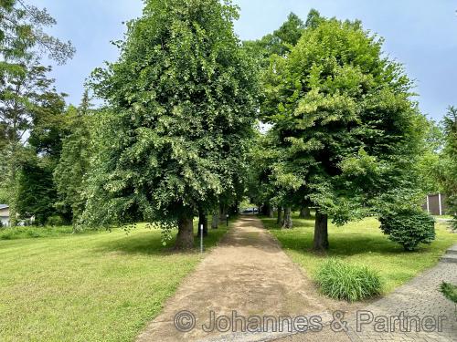 wunderschöne parkähnliche Gartenanlage