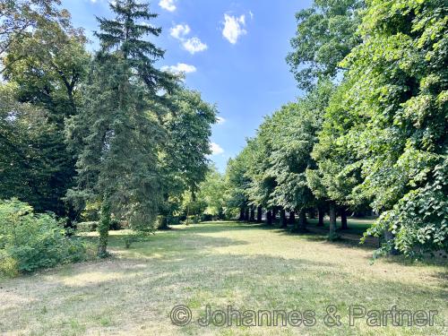 parkähnliche Gartenanlage