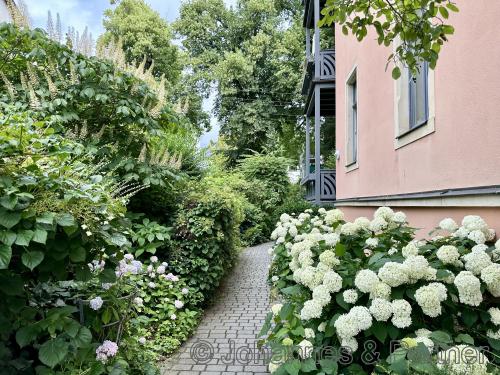 sehr schönes und gepflegtes Grundstück