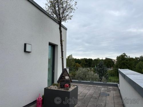 Dachterrasse und Ausblick