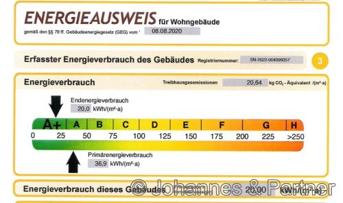 Auszug aus dem Energieausweis
